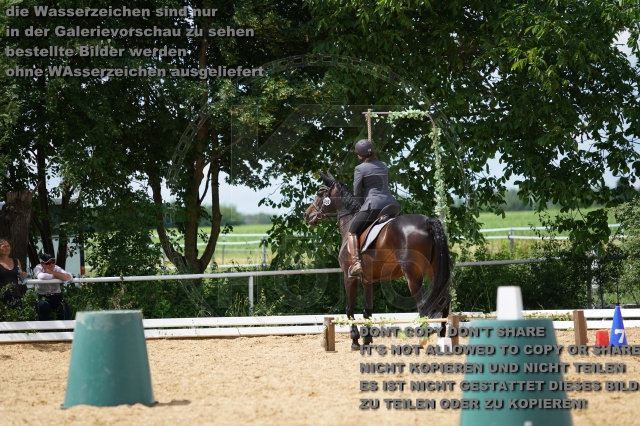 s_K3F06250.JPG
